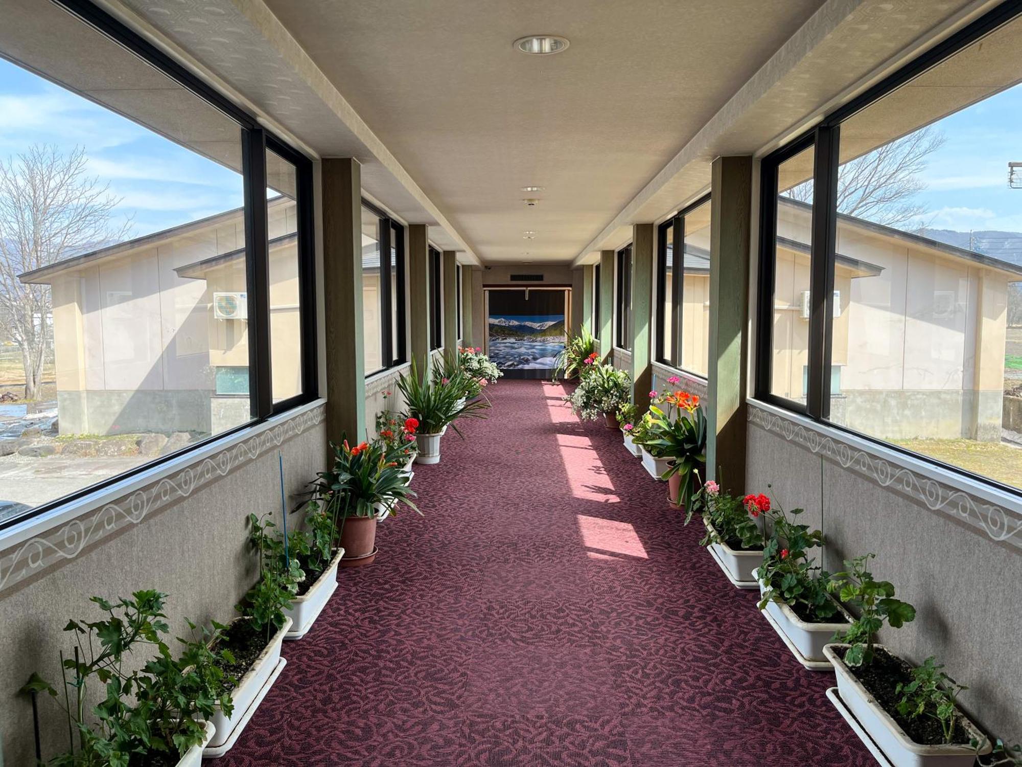 Hotel Goryukan Хакуба Екстериор снимка